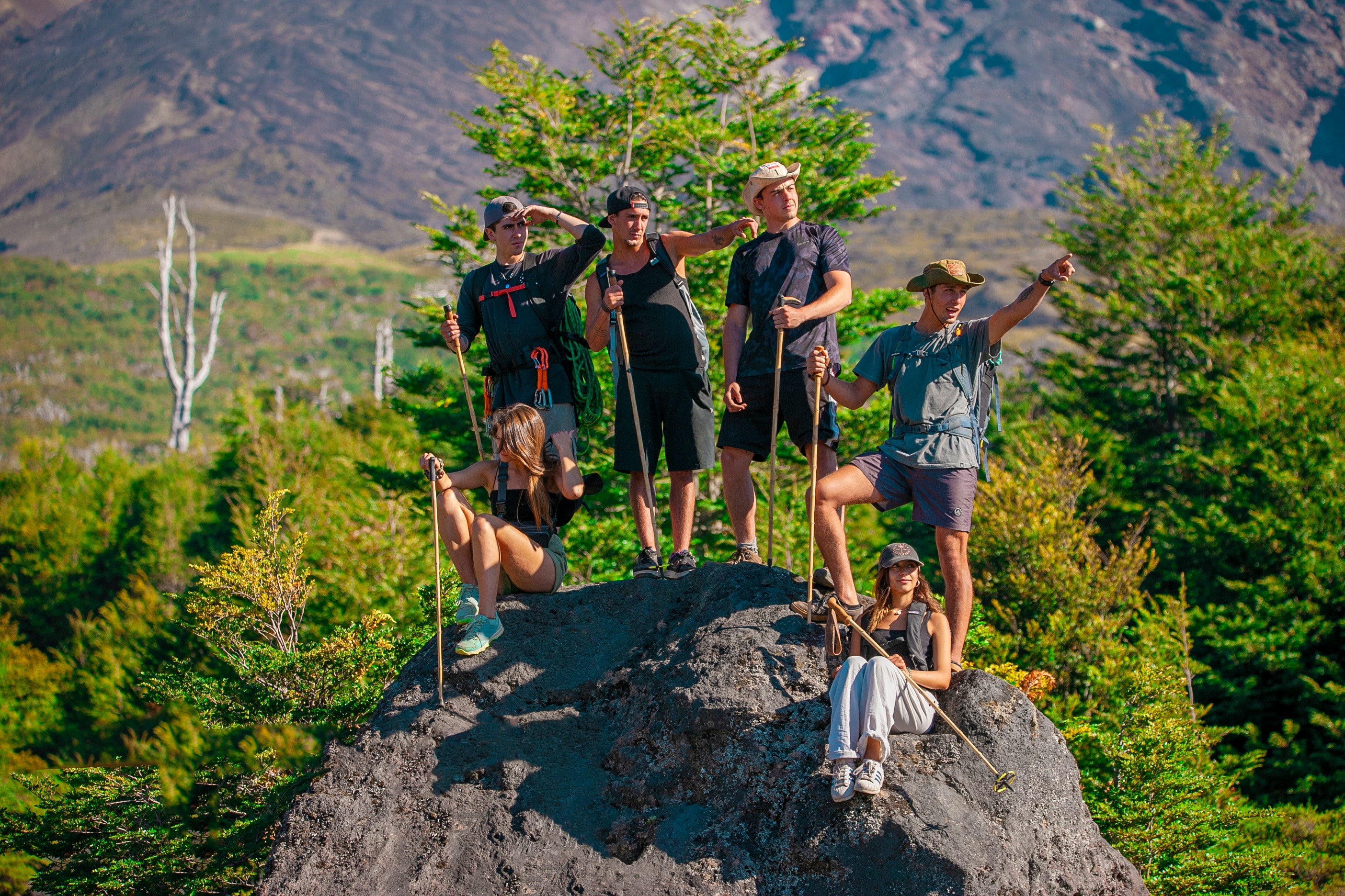 Bastón Trekking