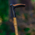 Bastón Trekking