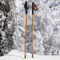 Bastón Allmountain